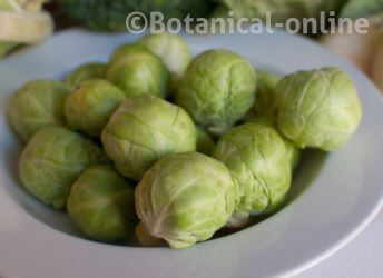 Brussels sprouts