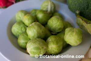 Brussels sprouts the outer leaves removed.