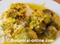 Brussels sprouts with turmeric or curry sauce