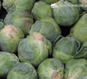 brussel sprouts