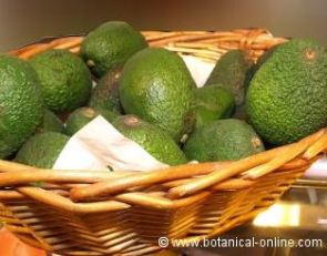 avocados