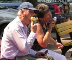 people eating ice-creams