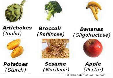 complex carbohydrate foods