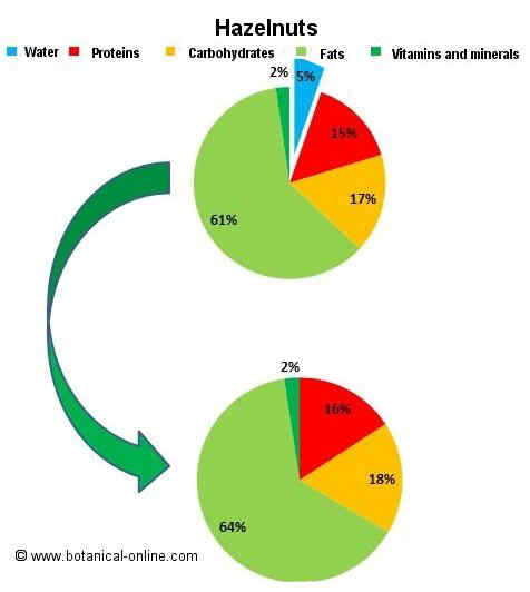 composition of hazelnuts