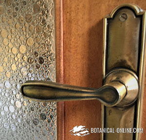 Door knob