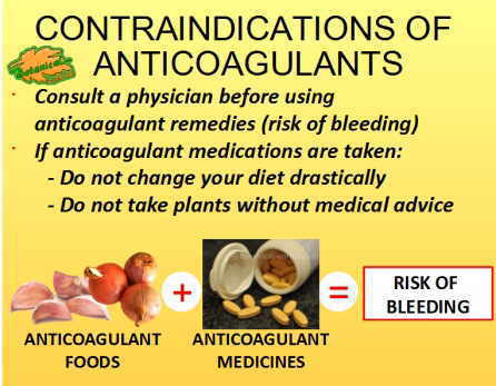 contraindicaciones de las plantas medicinales y medicamentos anticoagulantes para fluidificar la sangre