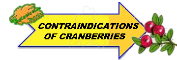 Contraindications of cranberries drawing