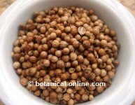 Coriander as stomach tonic