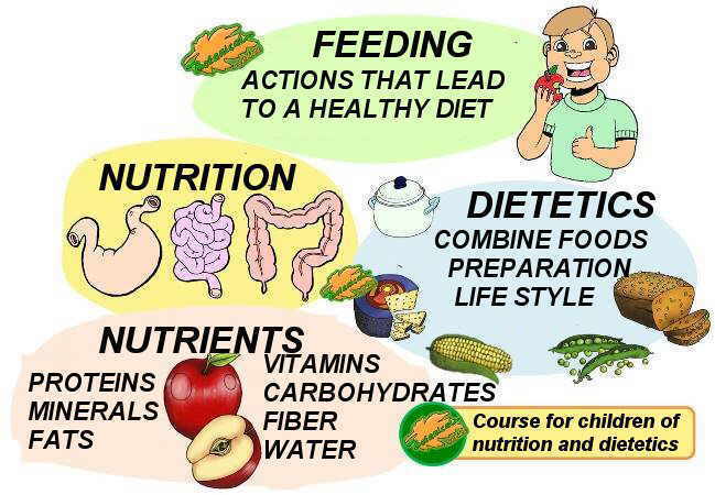 Definition of nutrition for children