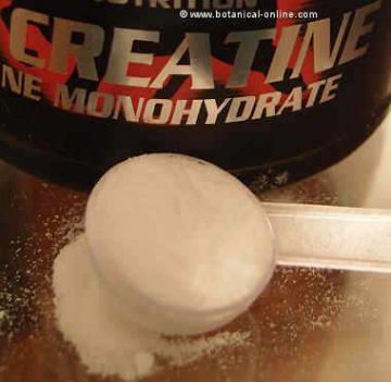 creatine