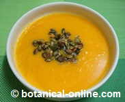 pumpkin soup