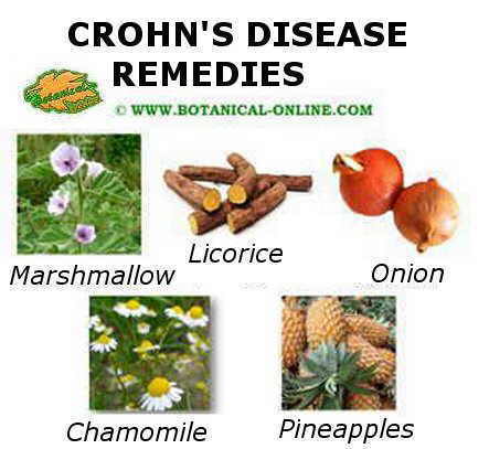 Crohn's disease main remedies