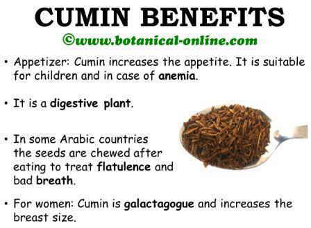Cumin benefits medicinal properties