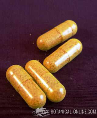 turmeric