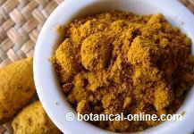 Turmeric against cancer