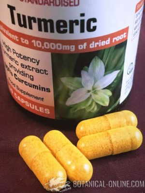Curcuminoid-rich turmeric supplement