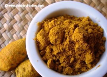 Root and powder of turmeric