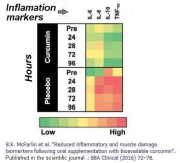 curcuma inflammation markers experimental result