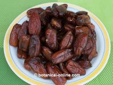 Photo of dates