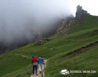 People walking in the mountain