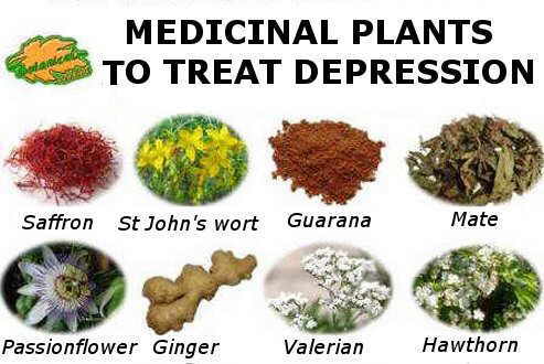 depression plants