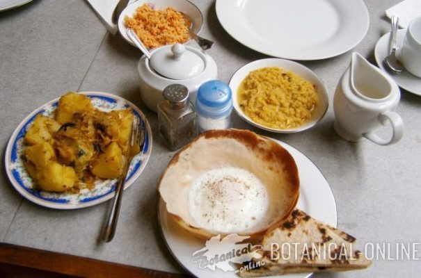 Breakfast in a Southeast Asian country sri lanka