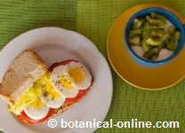 Egg sandwich, yogurt and fruit