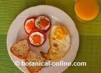 Fried egg with bread and tomato