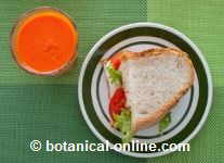 Vegetarian sandwich and carrot juice