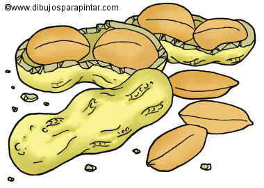 Big drawing of peanuts