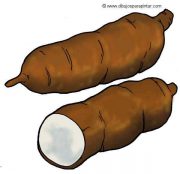 cassava