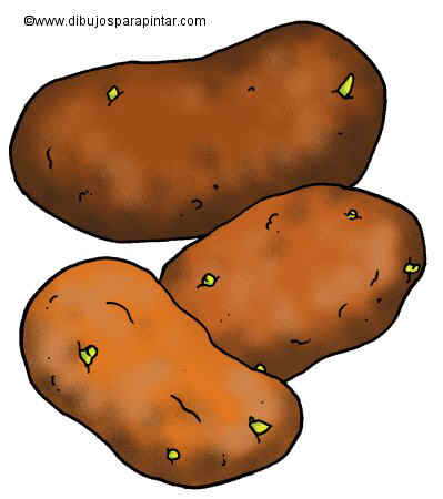 Potatoes drawing