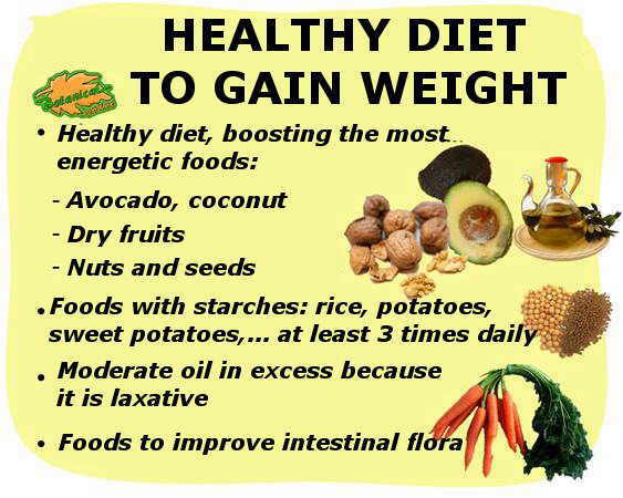 Main dietary guidelines of diet and food for fattening