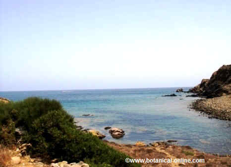 Mediterranean sea coast