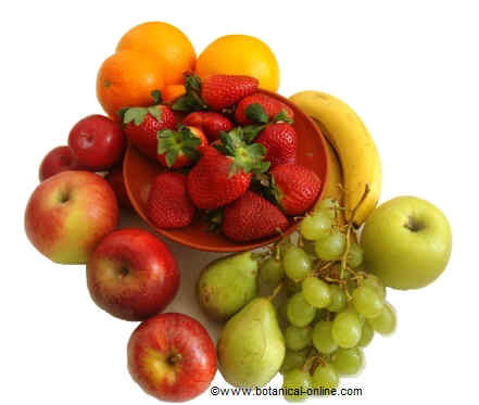The fruits in the Mediterranean diet