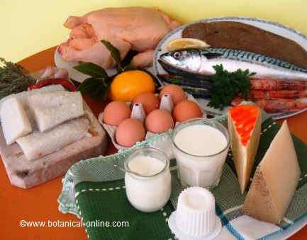 Source of proteins in the Mediterranean diet