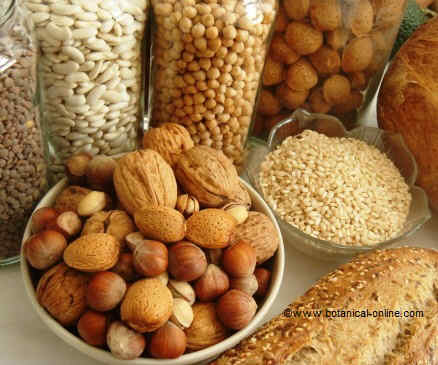 Foods rich if slow digesting carbohydrates