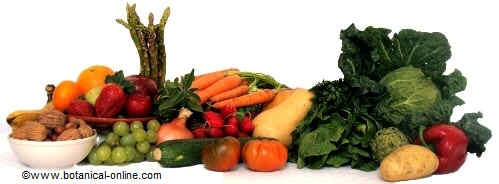 Vegetables of Mediterranean diet