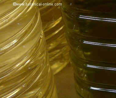 Differences between sunflower oil and olive oil