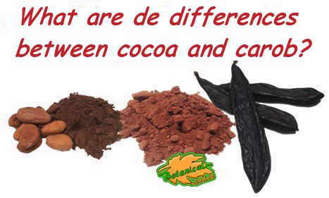 cocoa flour and carob flour