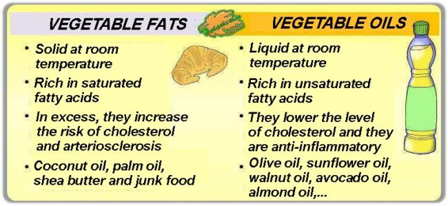 vegetable oils and vegetable fats