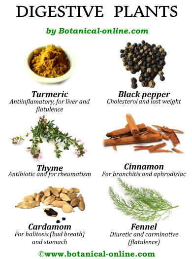 Natural remedies for digestion