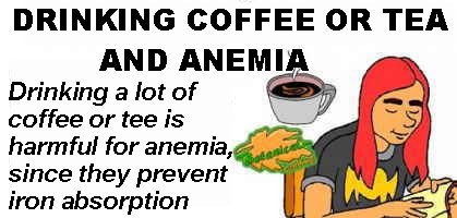 coffee and tea for anemia kidnap iron