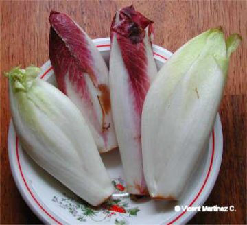 endives