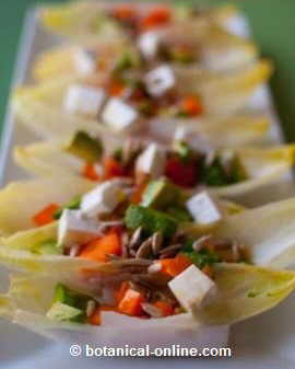 Endive salad with cheese and sunflower seeds