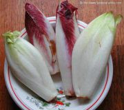 endives