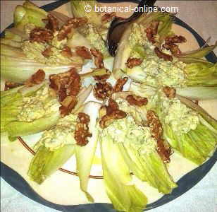Photo of endive salad with walnuts and avocado