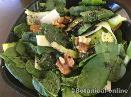 spinach leaves in salad