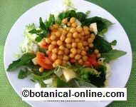 Chickpeas salad 