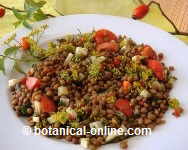 Lentils salad with fennel 